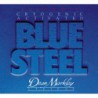 DEAN MARKLEY 2552 BLUESTEEL ELECTRIC LT (09-42)