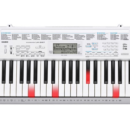 CASIO LK-247