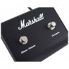 MARSHALL MG101CFX