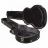 EPIPHONE HARD CASE