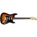 FENDER CUSTOM SHOP 2013 CLOSET CLASSIC STRATOCATER PRO MN F3TSB