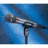 AUDIO-TECHNICA AE6100