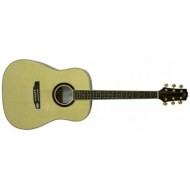 Акустическая гитара SX DG180/NA