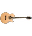 EPIPHONE PR5-E CUTAWAY