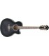 IBANEZ AEL2012E TKS