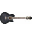IBANEZ AEL2012E TKS