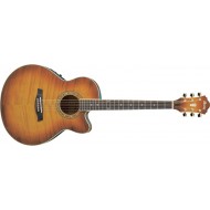 Электроакустическая гитара IBANEZ AEL20E VV