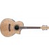IBANEZ EW20ASE-NT