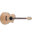 IBANEZ EW20ASE-NT