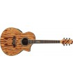 IBANEZ EW20ZWE NATURAL