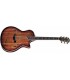 TAYLOR T5-C2 KOA TOP