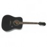 EPIPHONE DR-200 EВ