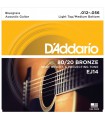 D'ADDARIO EJ14