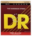 DR PRE ALLOY PM-12
