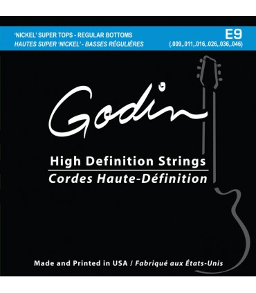 GODIN ELECTRIC GUITAR 009