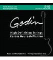 GODIN ELECTRIC GUITAR 010