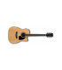 IBANEZ PF15ECE NT