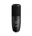 AKG P120