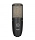 AKG P220