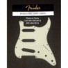 FENDER AM STD STRAT MINT GREEN