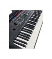 YAMAHA PSR-E263