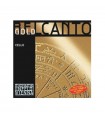 THOMASTIK BELCANTO GOLD BC31G