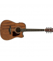 IBANEZ AW54CE OPN
