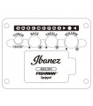 IBANEZ AW54CE OPN