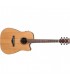 IBANEZ AW65ECE