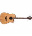 IBANEZ AW65ECE