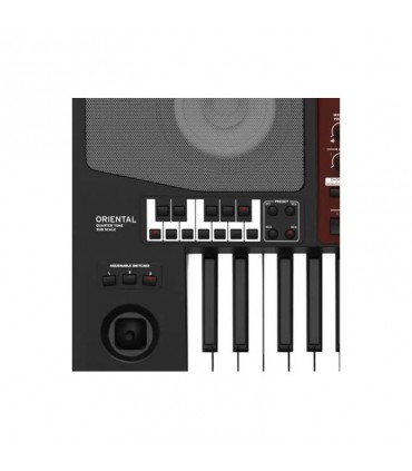 KORG PA700-OR