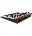 KORG MONOLOGUE-SV