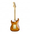 FENDER AMERICAN PERFORMER STRATOCASTER RW HONEY BURST