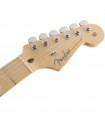 FENDER AMERICAN PROFESSIONAL STRATOCASTER MN NATURAL