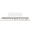 KORG B2-WH