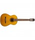 TAKAMINE GC1 NAT