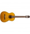 TAKAMINE GC1 NAT
