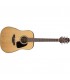 TAKAMINE GD10 NS