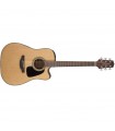 TAKAMINE GD10CE NS