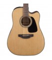 TAKAMINE GD10CE NS