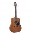 TAKAMINE GD11M NS