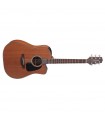 TAKAMINE GD11MCE NS