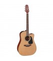 TAKAMINE P1DC