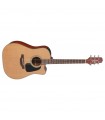 TAKAMINE P1DC