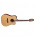 TAKAMINE P3DC