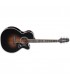 TAKAMINE EF450-TT TBB