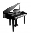 KURZWEIL CGP220 W