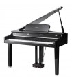 KURZWEIL CGP220 W