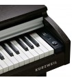 KURZWEIL M210 SR