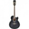 IBANEZ AEL2012E TKS